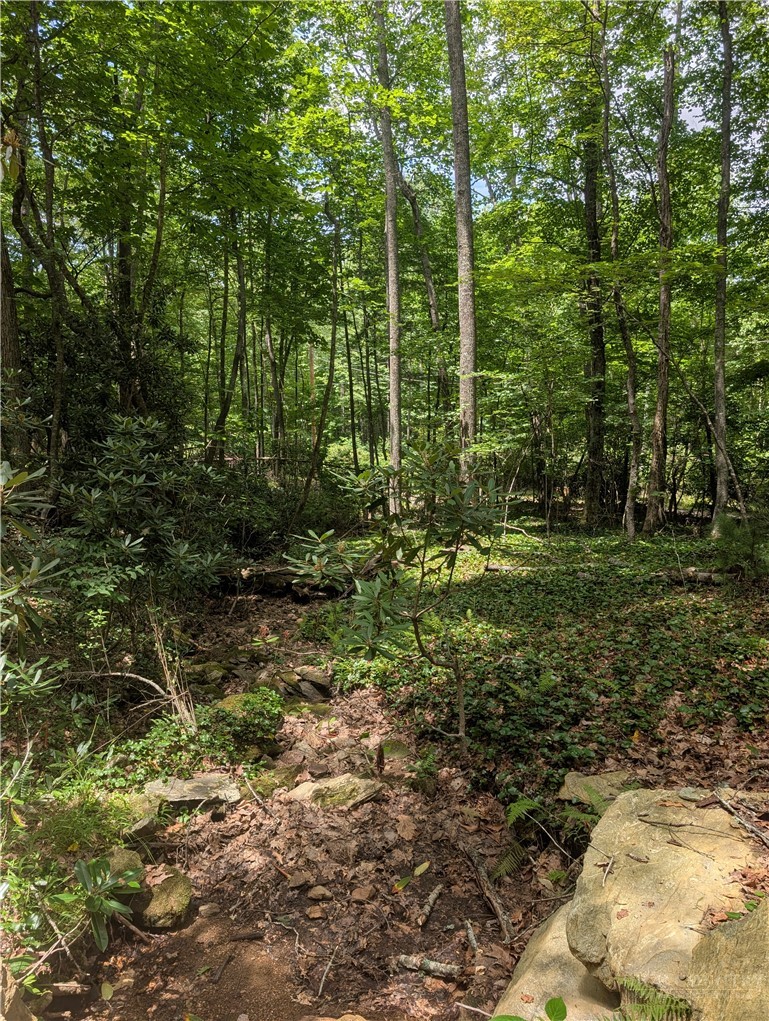 Tbd Rocky Mountain Road Property Photo 3