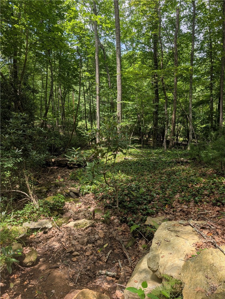 Tbd Rocky Mountain Road Property Photo 4