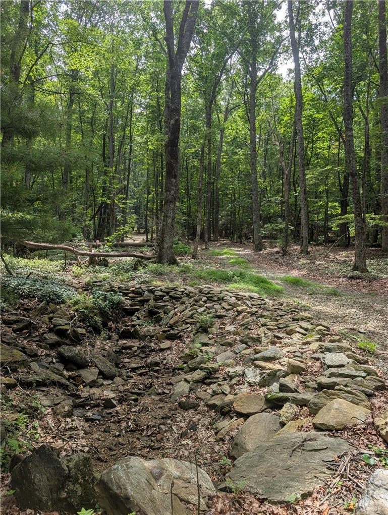 Tbd Rocky Mountain Road Property Photo 6