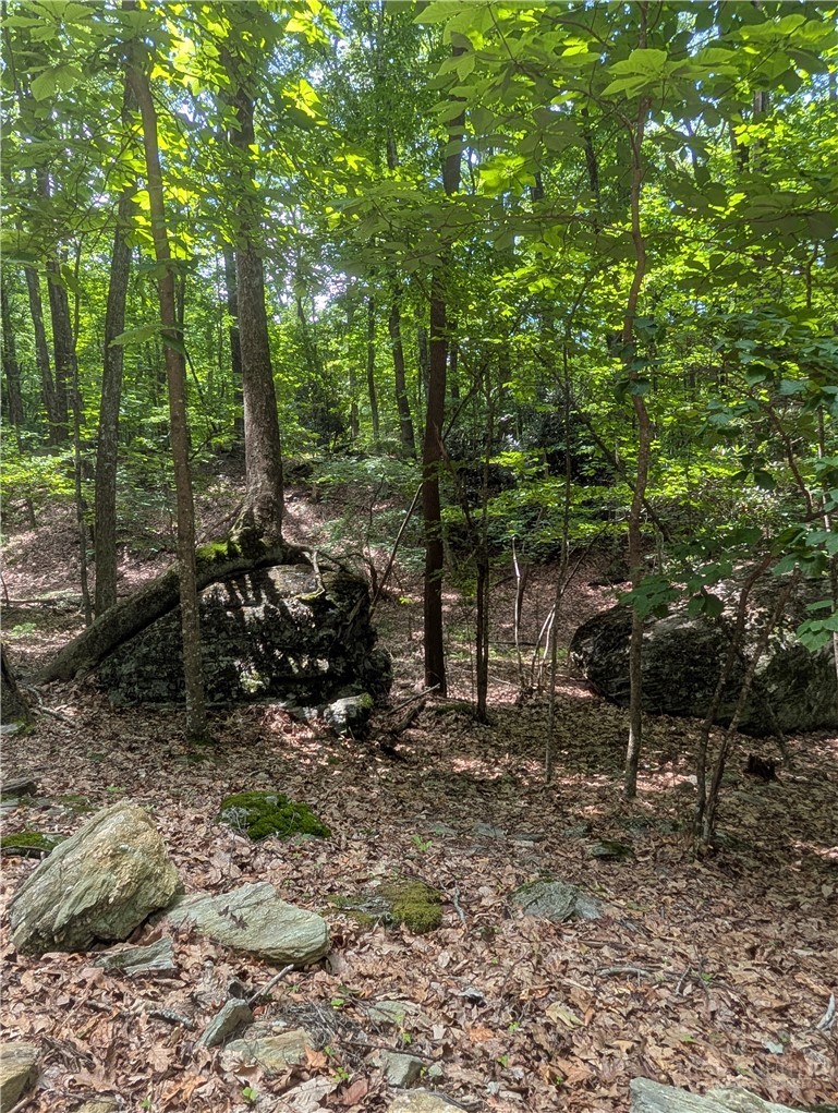 Tbd Rocky Mountain Road Property Photo 8