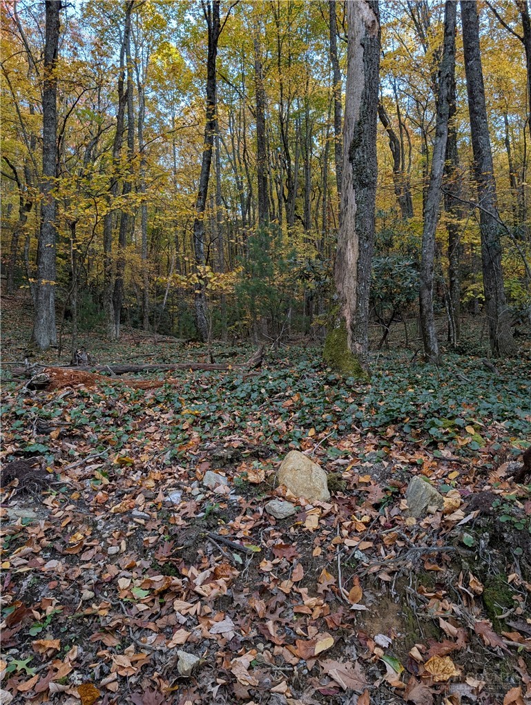 Tbd Rocky Mountain Road Property Photo 13