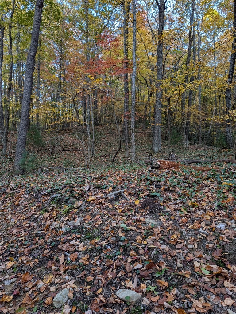 Tbd Rocky Mountain Road Property Photo 14