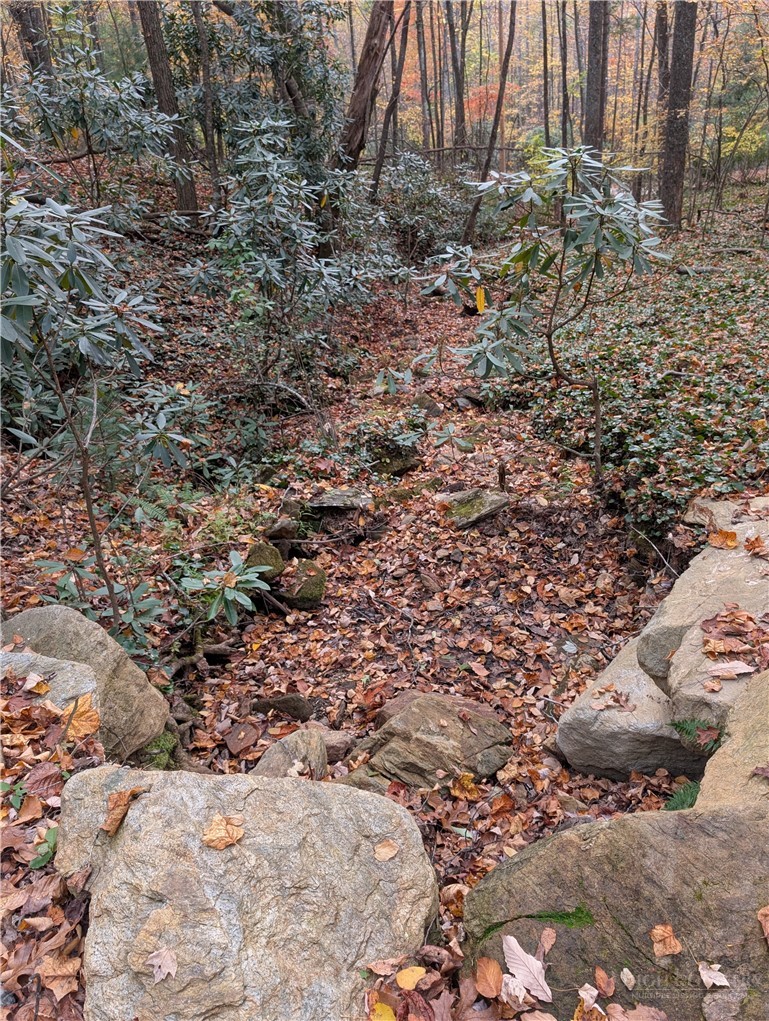 Tbd Rocky Mountain Road Property Photo 15