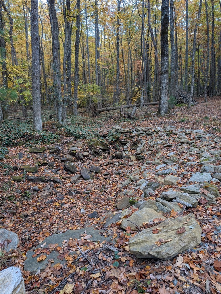 Tbd Rocky Mountain Road Property Photo 16