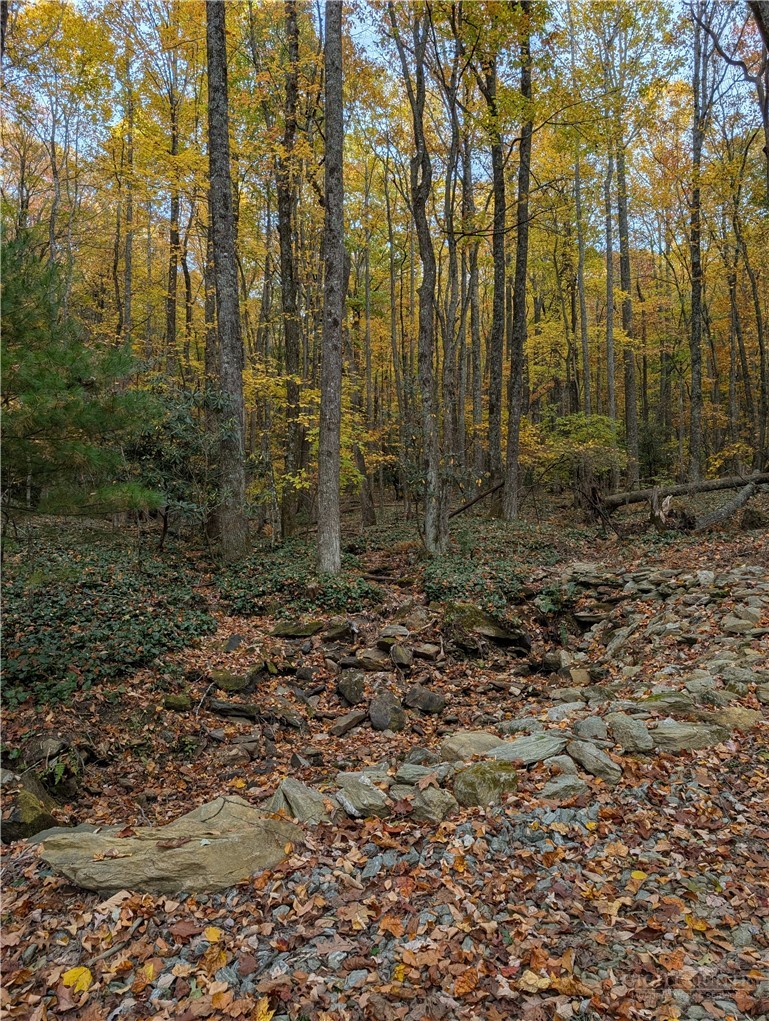 Tbd Rocky Mountain Road Property Photo 17
