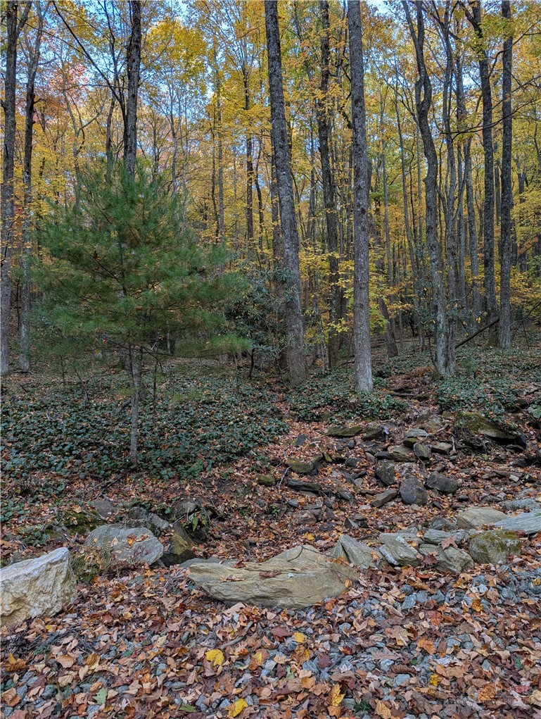 Tbd Rocky Mountain Road Property Photo 18