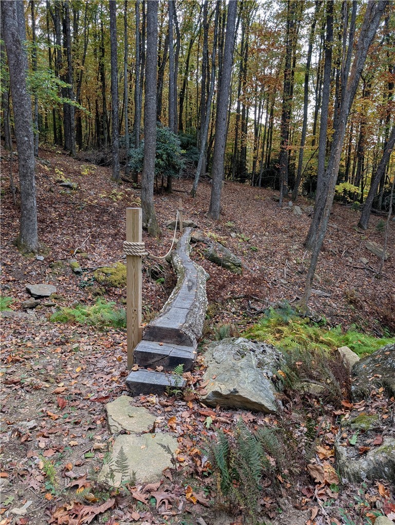 Tbd Rocky Mountain Road Property Photo 19