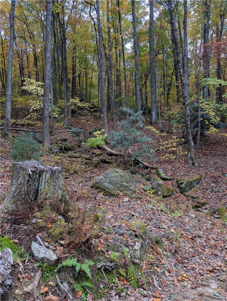 Tbd Rocky Mountain Road Property Photo 20
