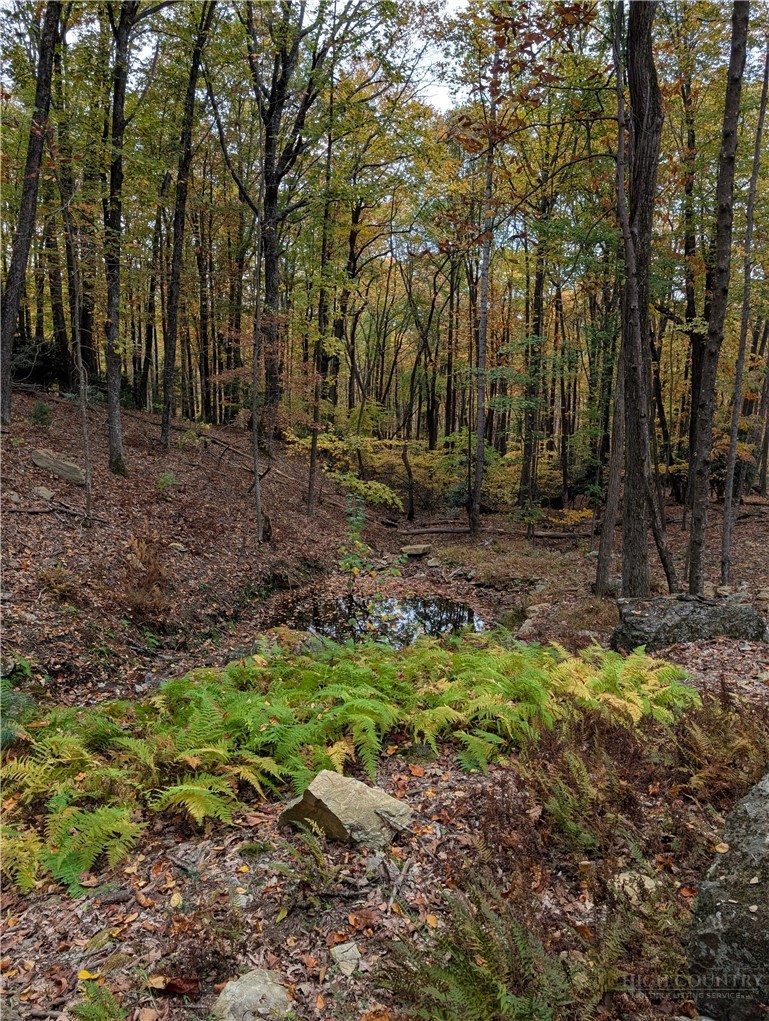 Tbd Rocky Mountain Road Property Photo 21