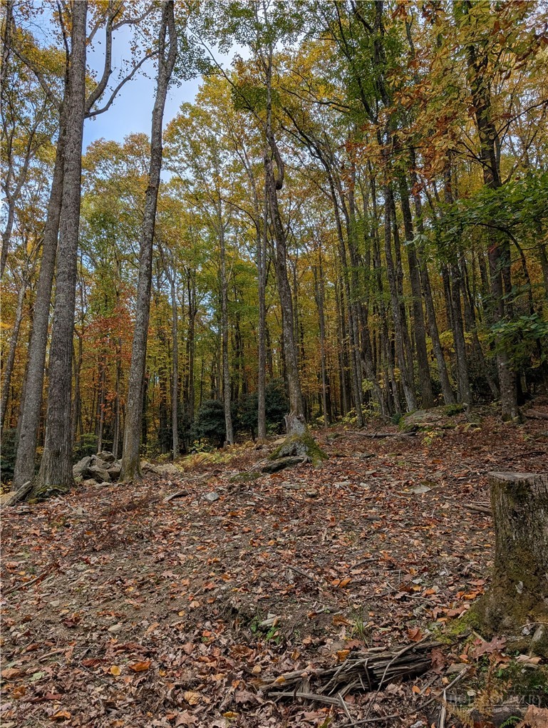 Tbd Rocky Mountain Road Property Photo 22