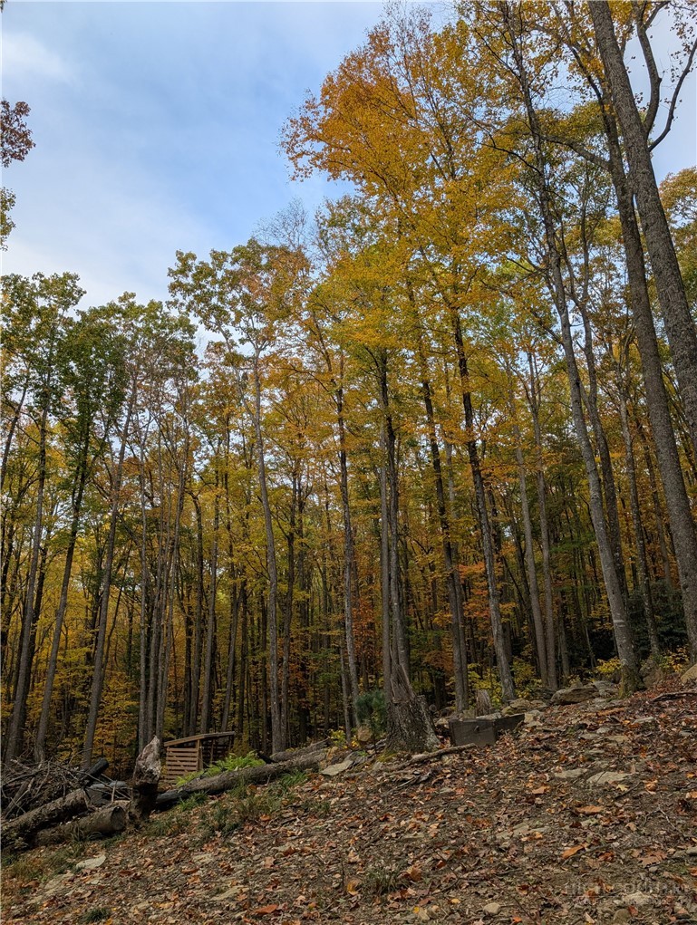 Tbd Rocky Mountain Road Property Photo 23