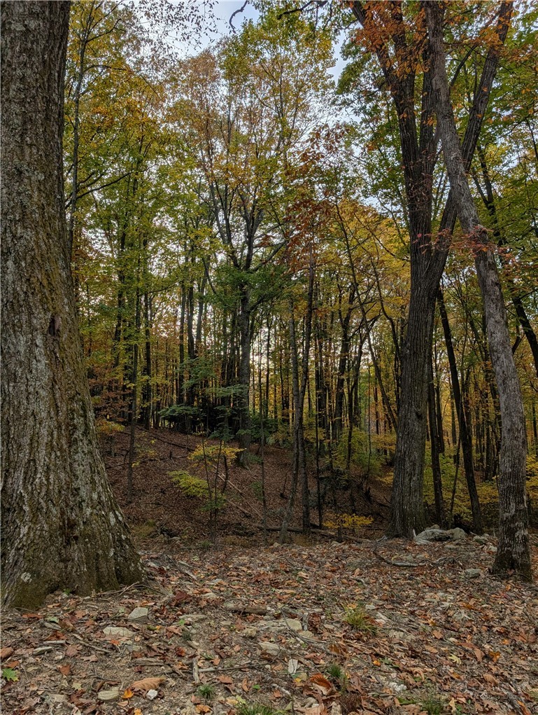 Tbd Rocky Mountain Road Property Photo 24