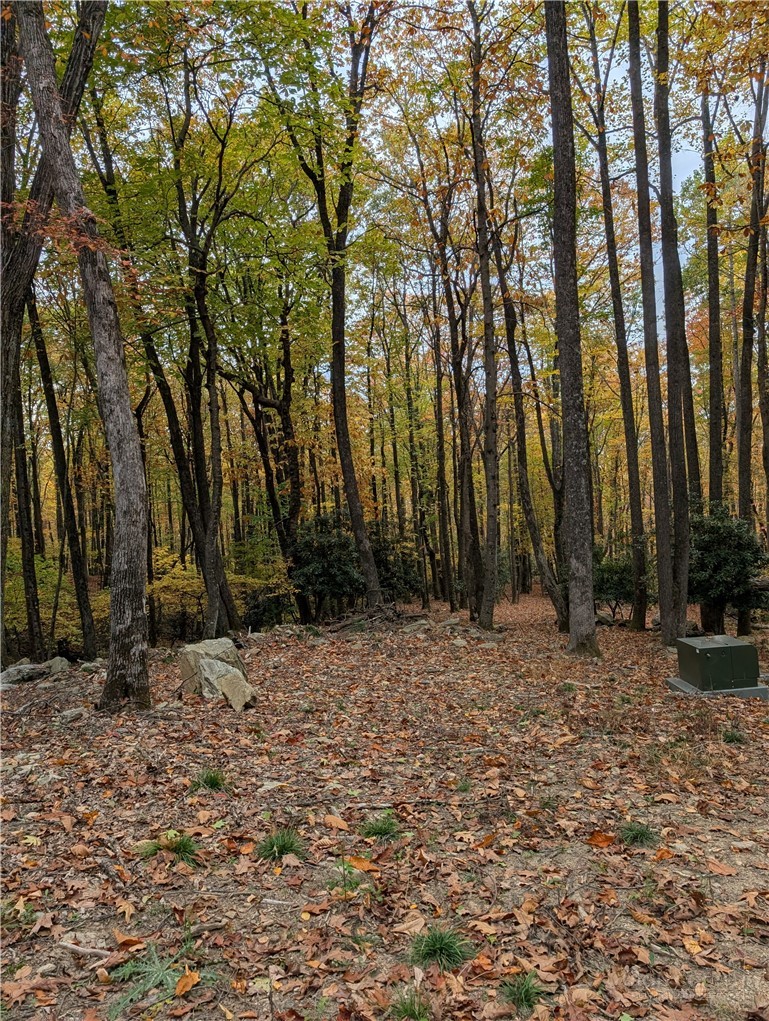 Tbd Rocky Mountain Road Property Photo 25
