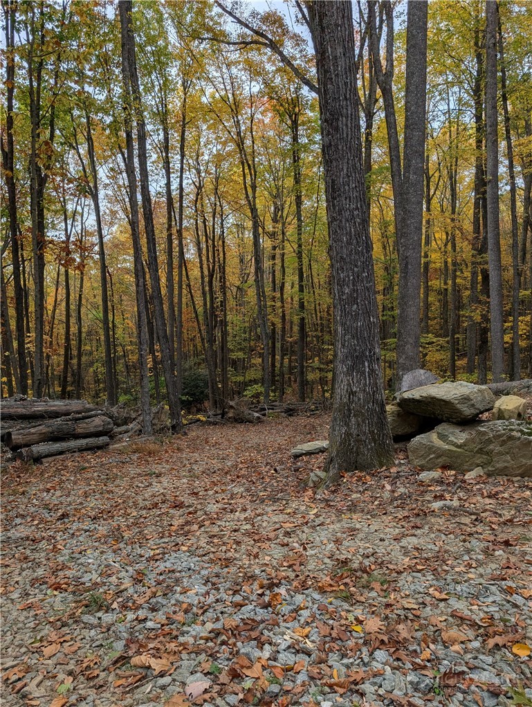 Tbd Rocky Mountain Road Property Photo 26