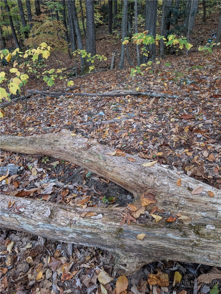 Tbd Rocky Mountain Road Property Photo 28