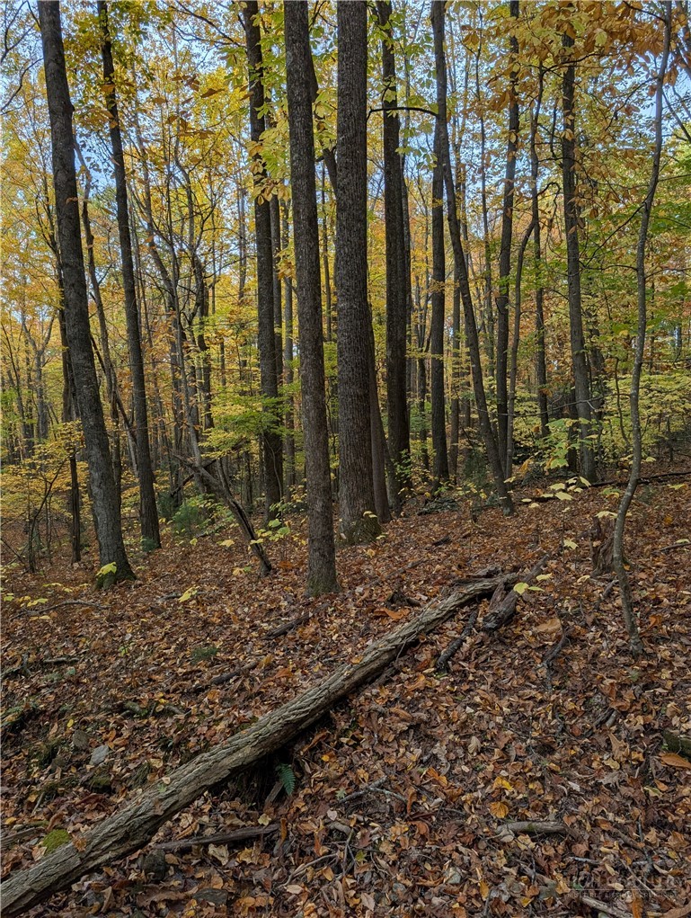 Tbd Rocky Mountain Road Property Photo 33