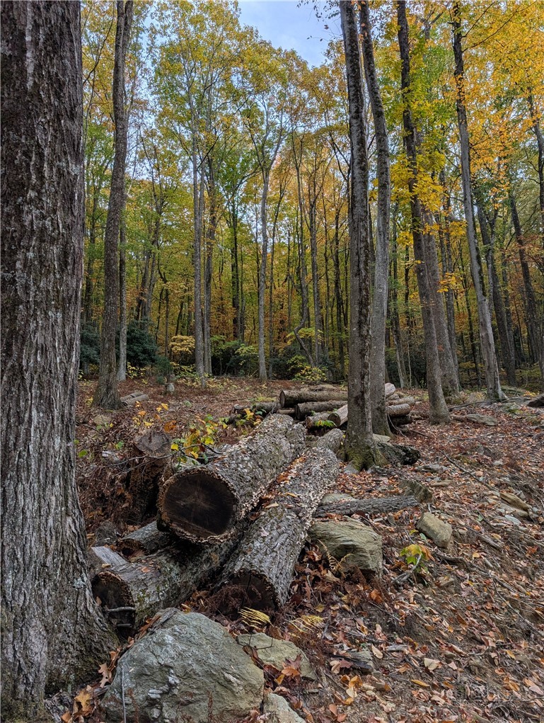 Tbd Rocky Mountain Road Property Photo 35
