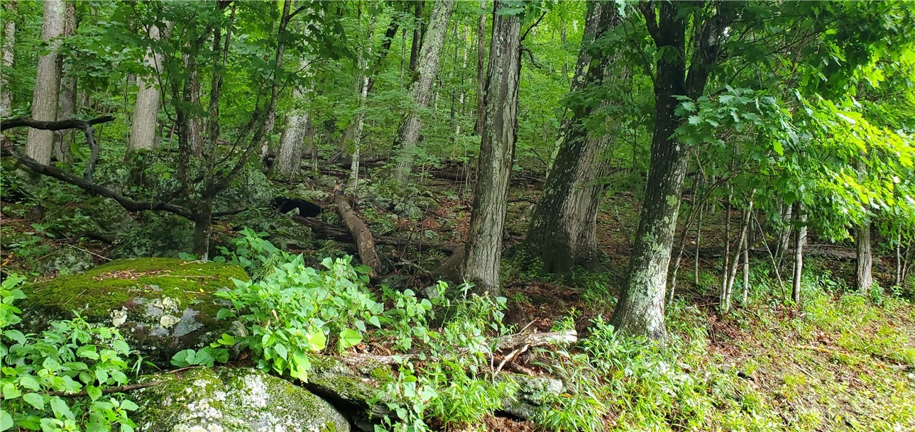 Lot 87 Thorncliff Drive