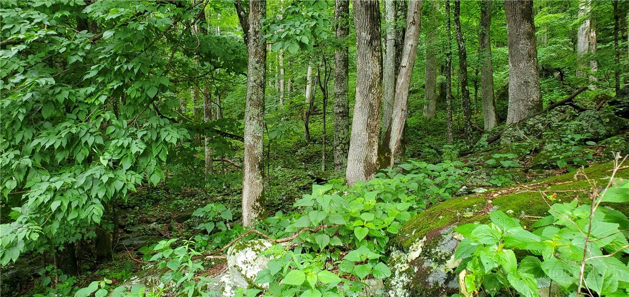 Lot 87 Thorncliff Drive Property Photo 2
