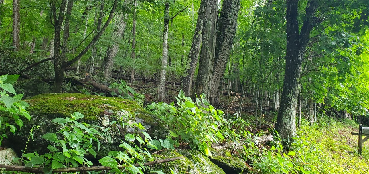 Lot 87 Thorncliff Drive Property Photo 3