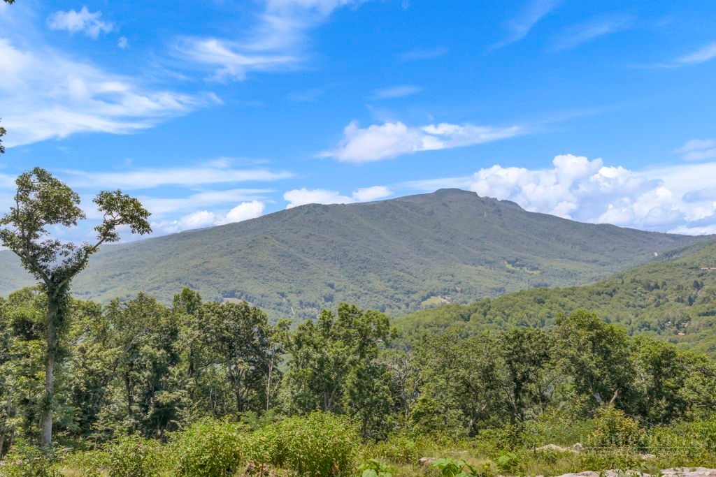 Lot #15 Alpine Drive Property Photo 1