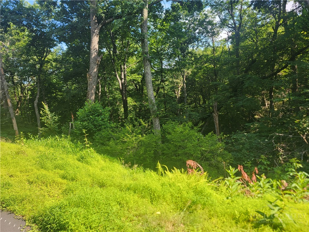 TBD Tree Top Ridge Lane