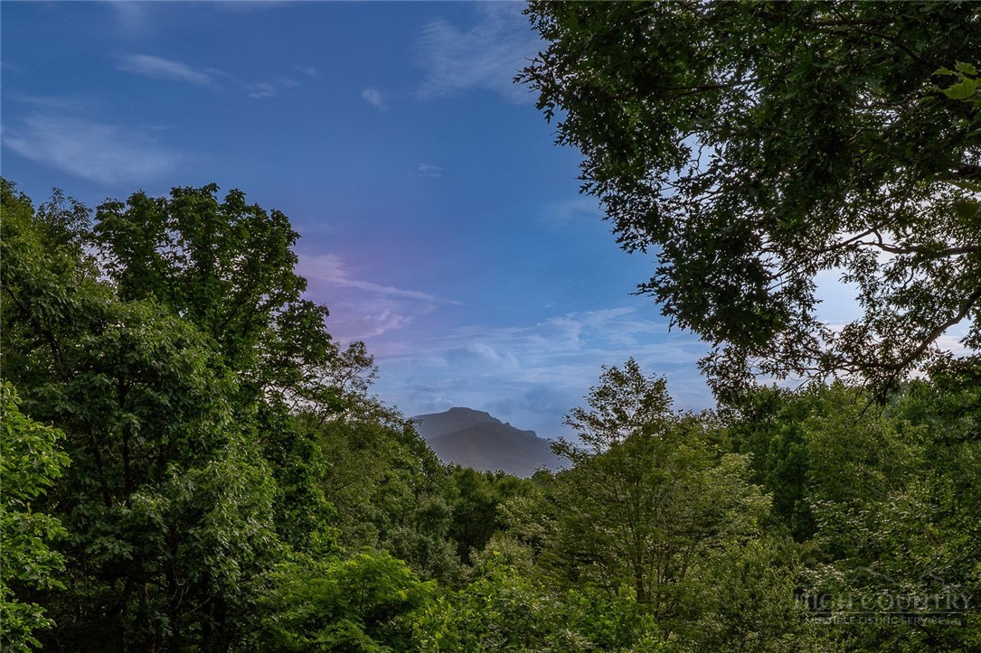 285 Wetherley Property Photo 47