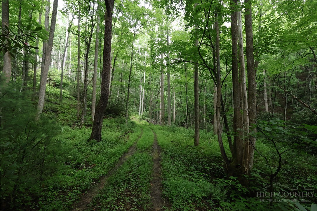 Tbd Blowing Rock Road Property Photo 1