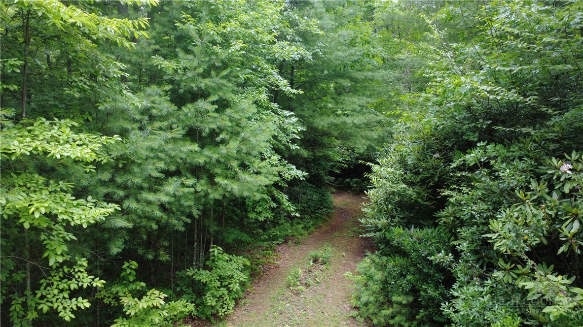 Tbd Blowing Rock Road Property Photo 2