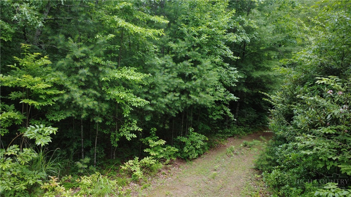Tbd Blowing Rock Road Property Photo 4