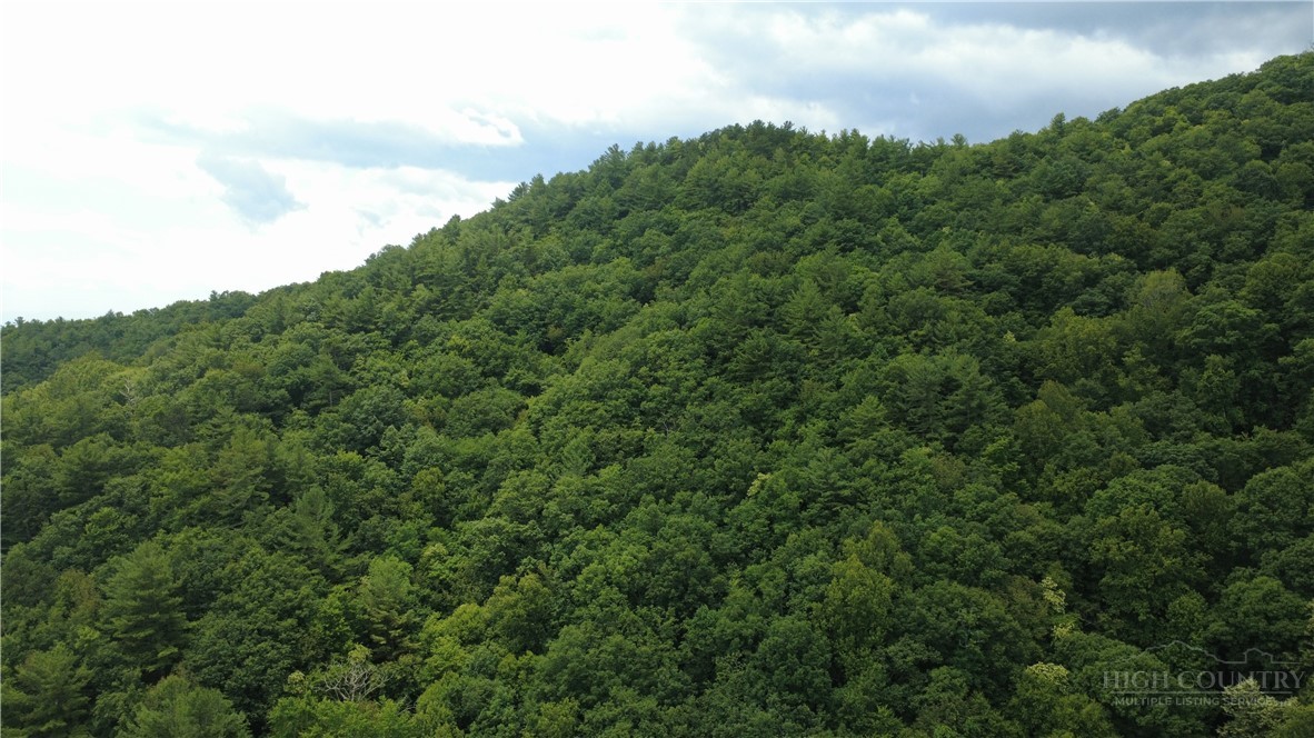 Tbd Blowing Rock Road Property Photo 9