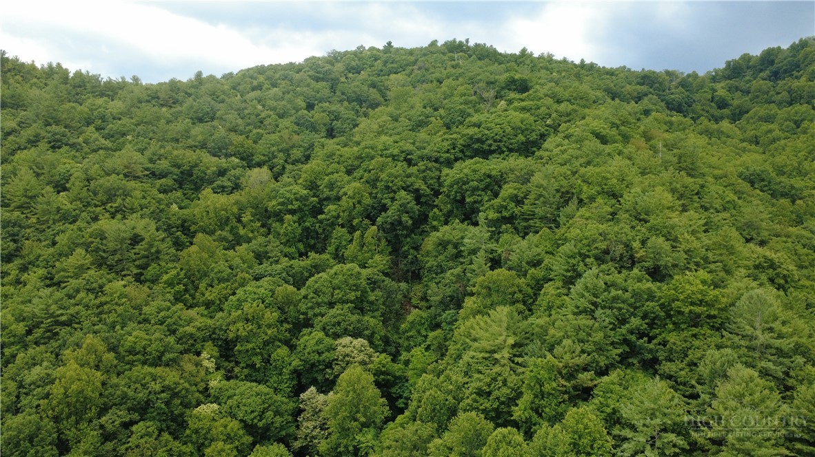 Tbd Blowing Rock Road Property Photo 10