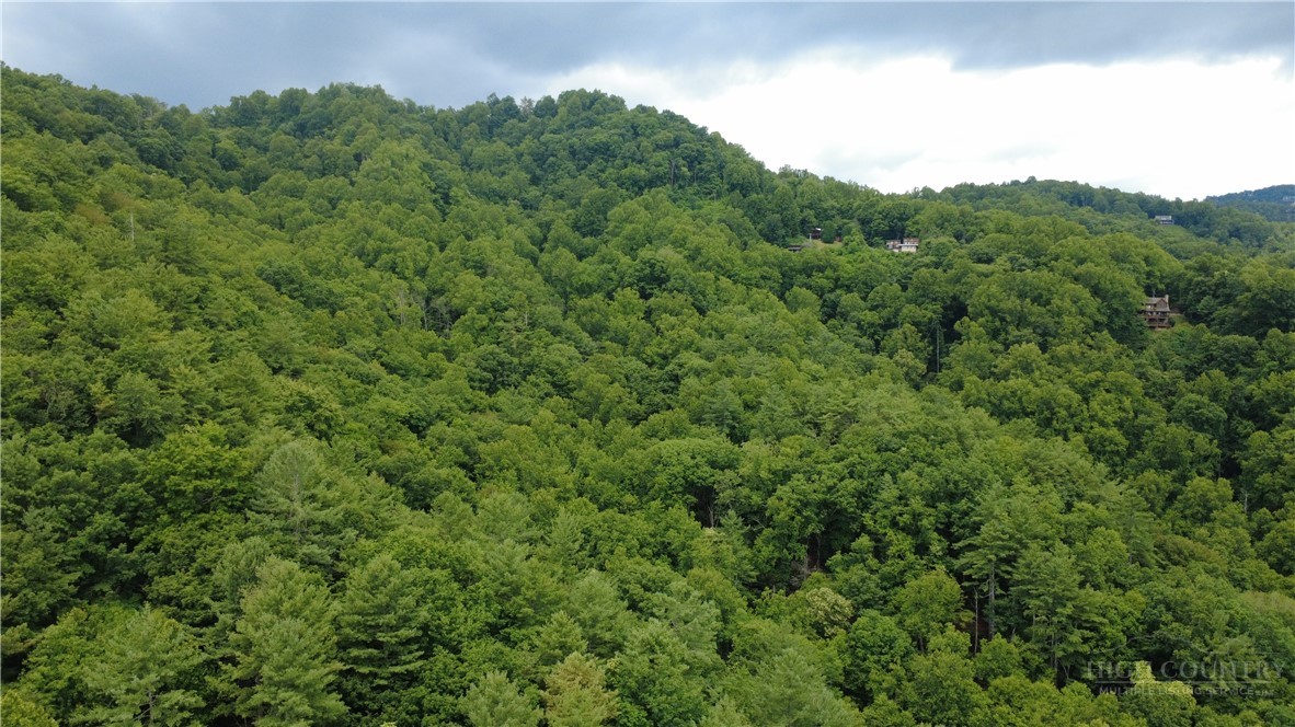 Tbd Blowing Rock Road Property Photo 11