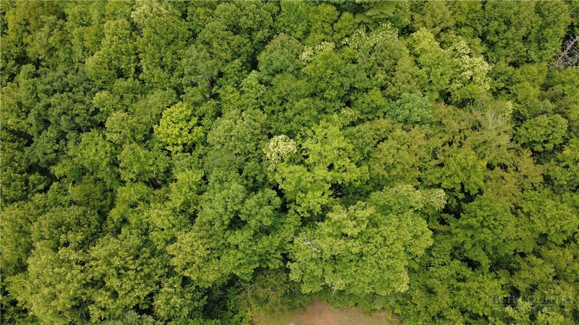 Tbd Blowing Rock Road Property Photo 14