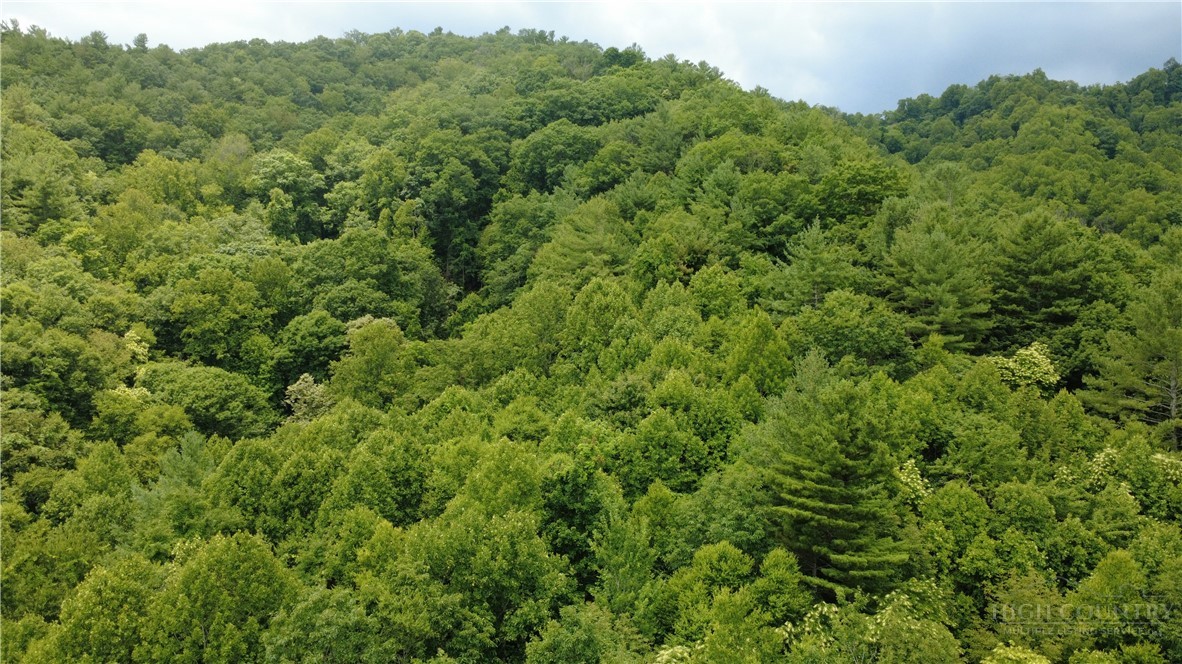 Tbd Blowing Rock Road Property Photo 15