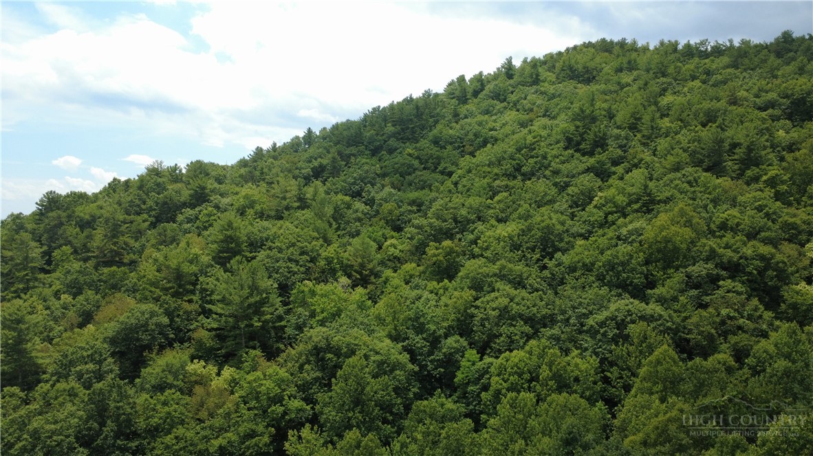 Tbd Blowing Rock Road Property Photo 16