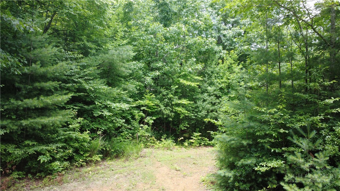 Tbd Blowing Rock Road Property Photo 22