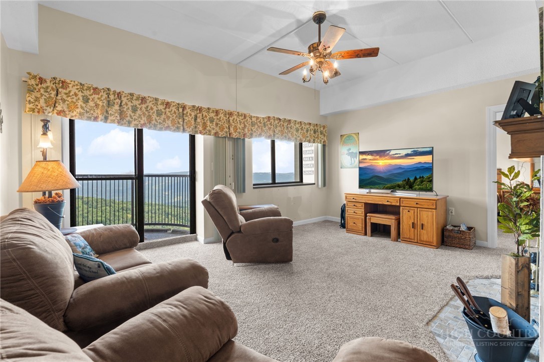 303 Sugar Top Drive 3927 Property Photo 3
