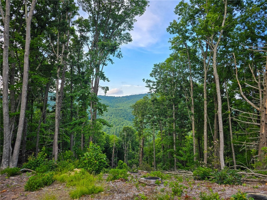 85 Eagle Watch Circle Property Photo 2
