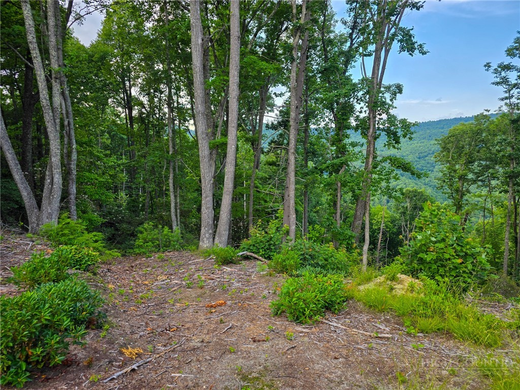85 Eagle Watch Circle Property Photo 6
