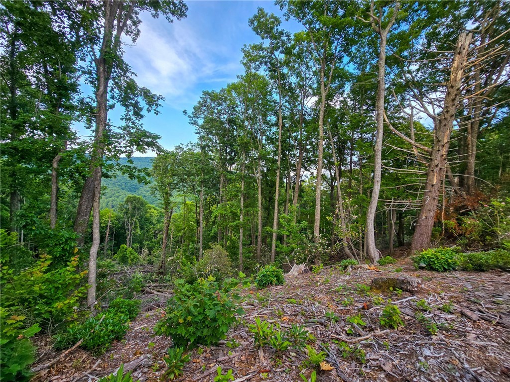 85 Eagle Watch Circle Property Photo 7