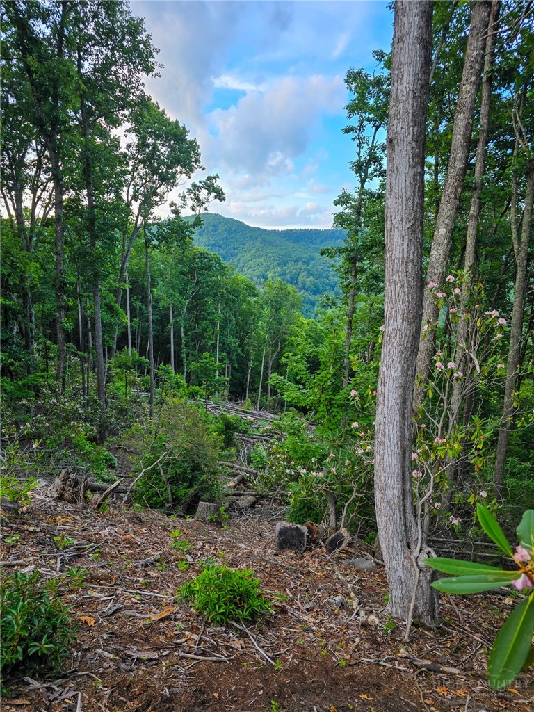 85 Eagle Watch Circle Property Photo 12