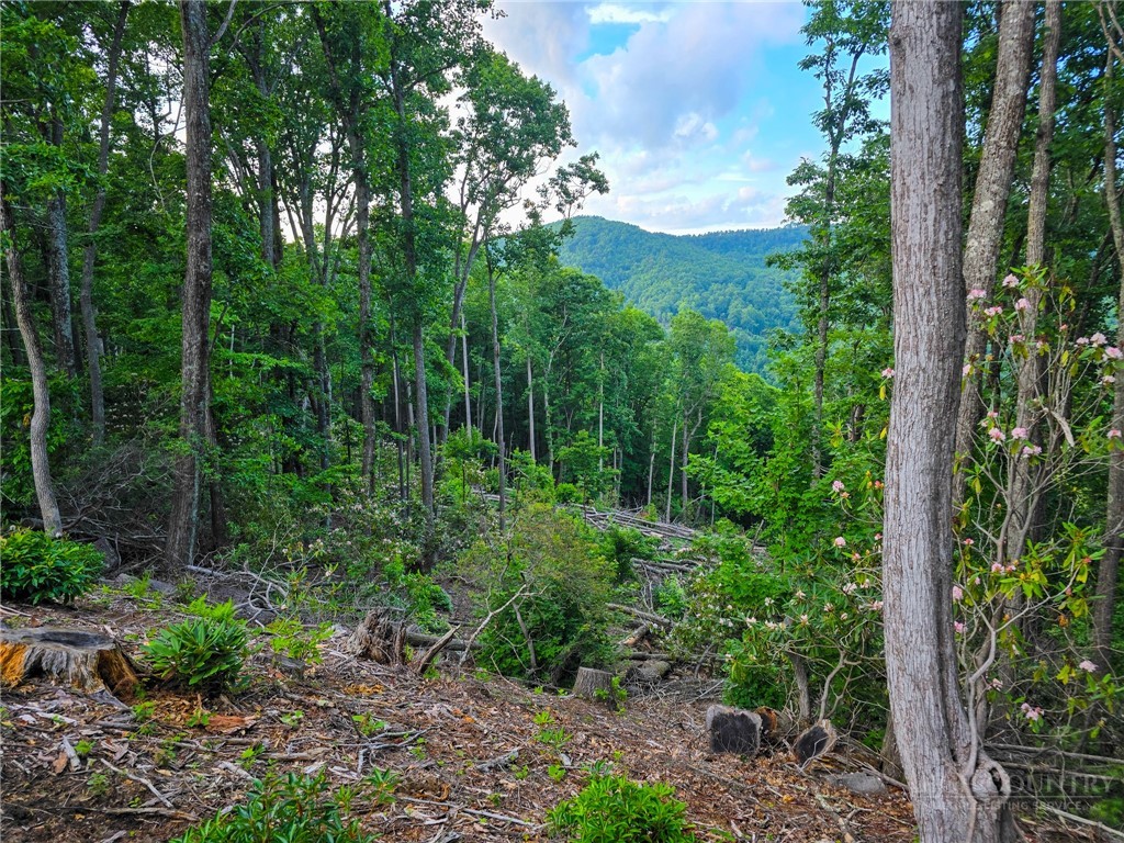 85 Eagle Watch Circle Property Photo 13