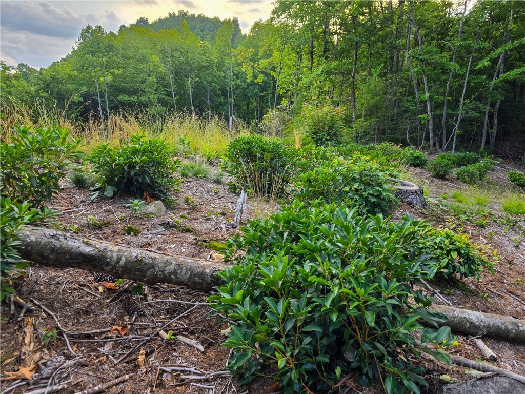 85 Eagle Watch Circle Property Photo 14
