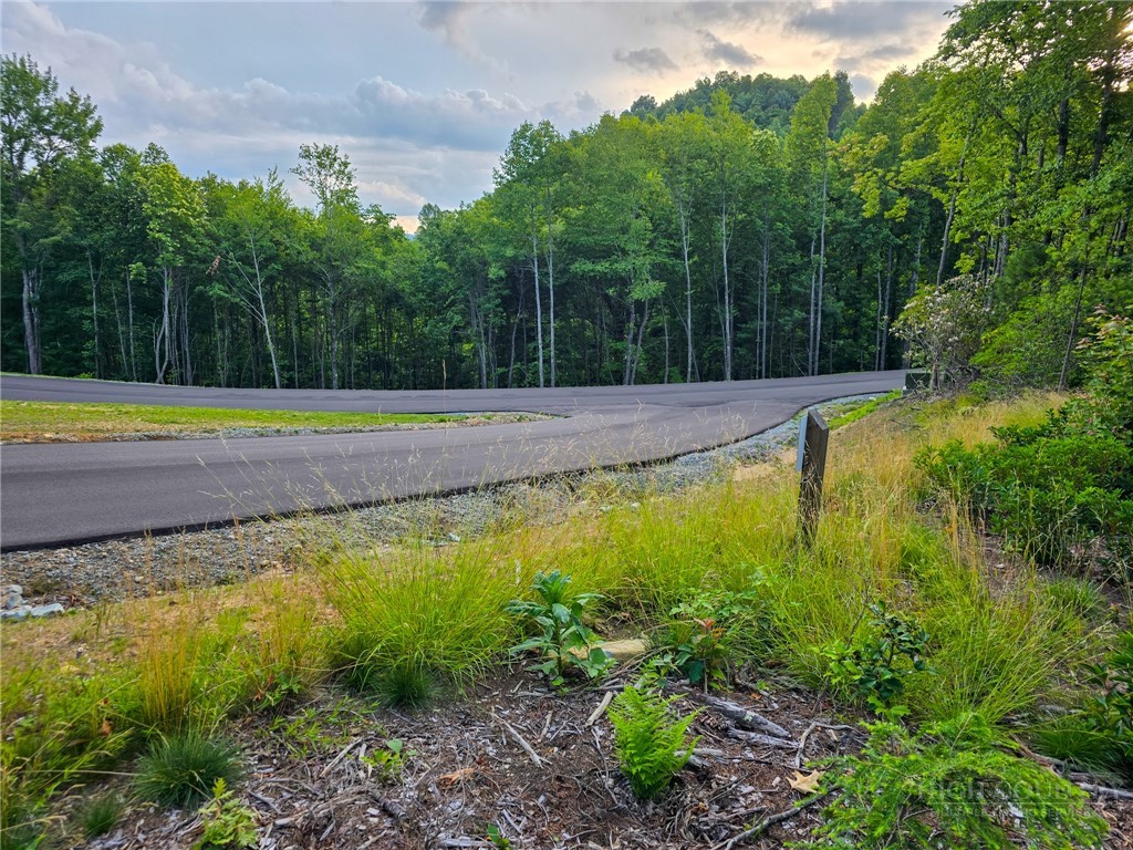 85 Eagle Watch Circle Property Photo 15