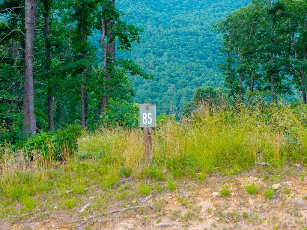 85 Eagle Watch Circle Property Photo 16