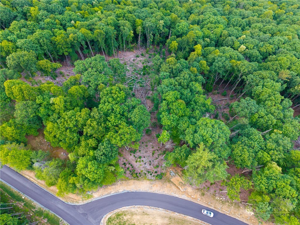 85 Eagle Watch Circle Property Photo 17