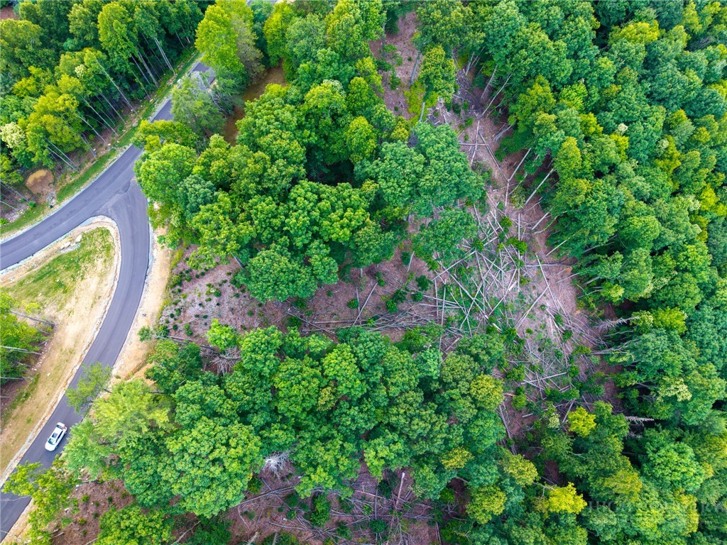 85 Eagle Watch Circle Property Photo 18