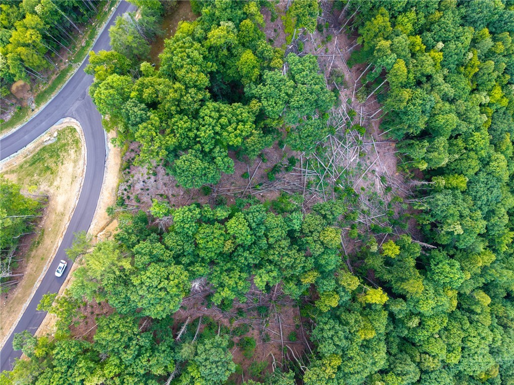 85 Eagle Watch Circle Property Photo 19