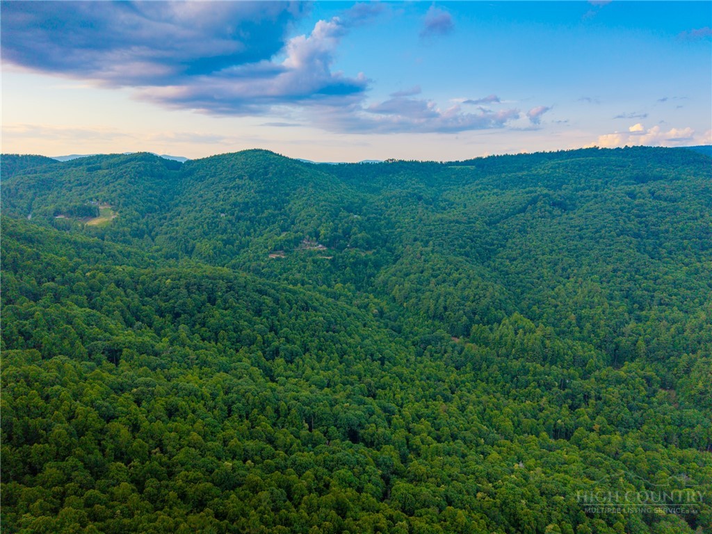 85 Eagle Watch Circle Property Photo 20
